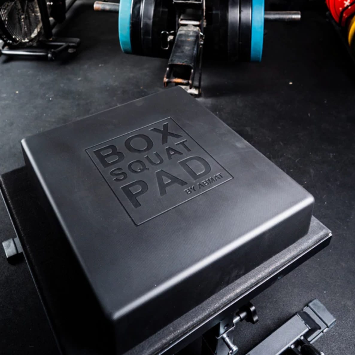 Rogue fitness box squat shop